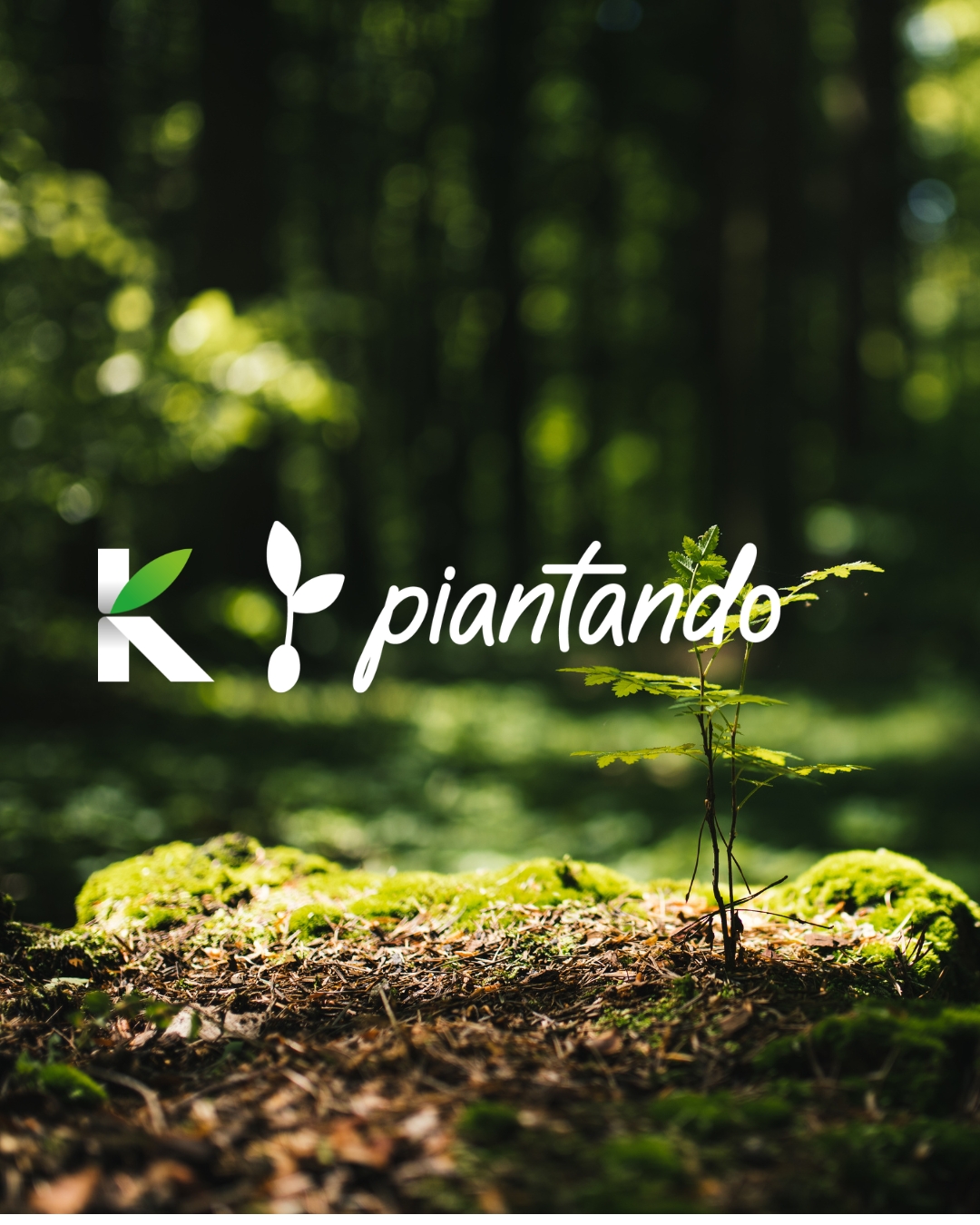 Un gesto concreto per l'ambiente